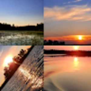 Meet your Posher, Ricki